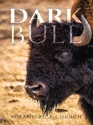 cover image of Dark Bull